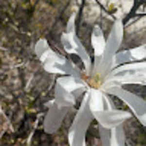 Meet your Posher, Mandy